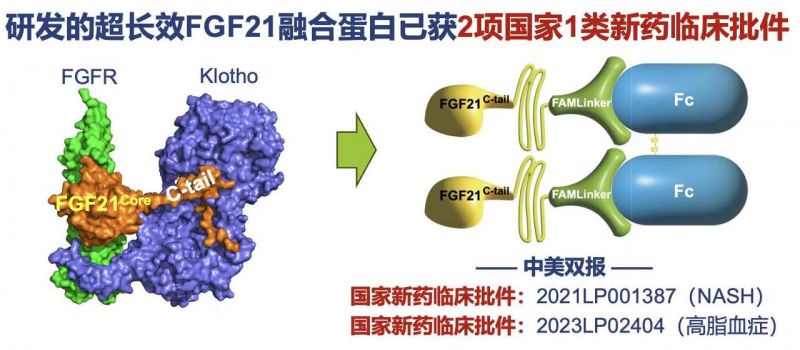 温医大李校堃团队科技成果获国家自然科学奖二等奖