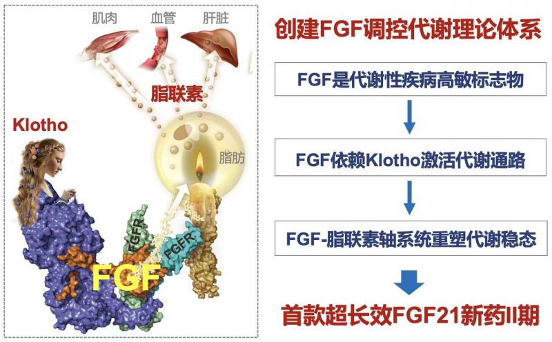 温医大李校堃团队科技成果获国家自然科学奖二等奖