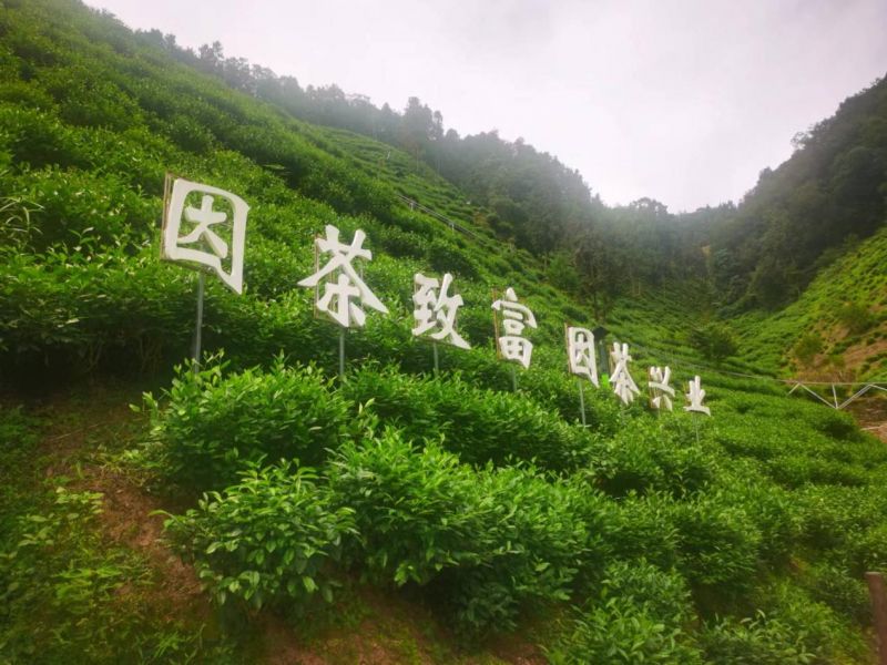 小账本里看发展丨和美乡村路上的“三本账”