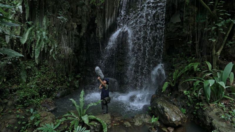 一起聆听最美的自然天籁 天河100种保护动物声纹发布