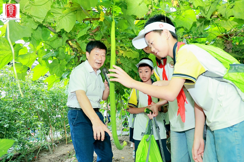 小切口融入大治理 成都市关工委以绣花功夫为基层社会治理画卷添彩