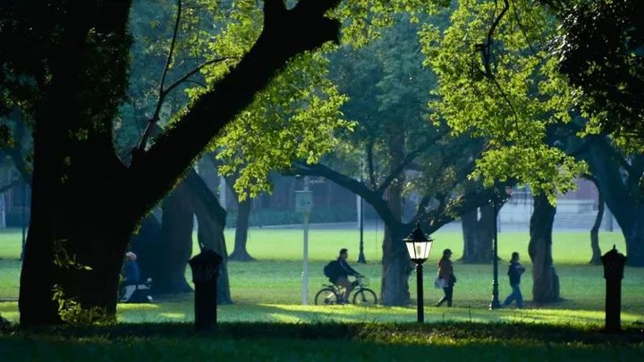 你好，中山大学！