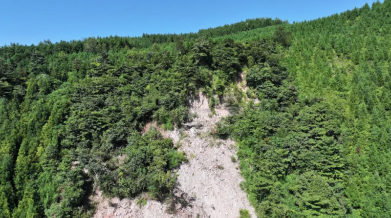 8d22d41358412a0e57595217bc6caba.png 8d22d41358412a0e57595217bc6caba.png