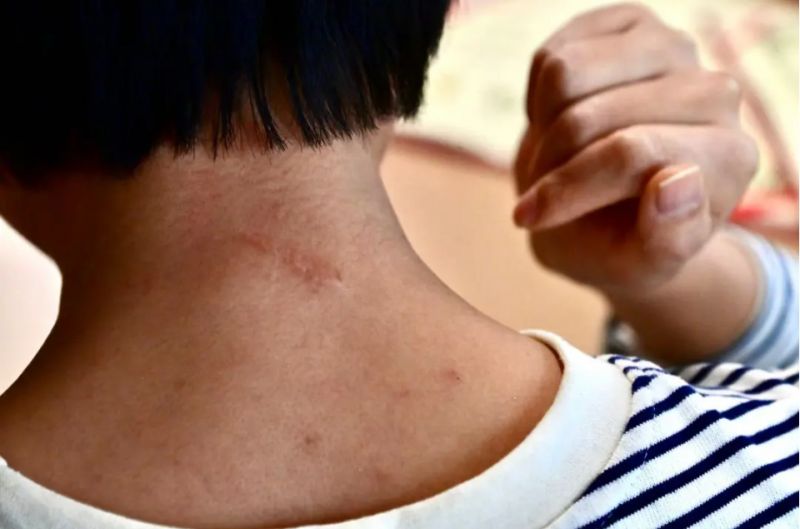 微信截图_20241219152534.png 微信截图_20241219152534.png