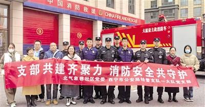 开展主题党日活动