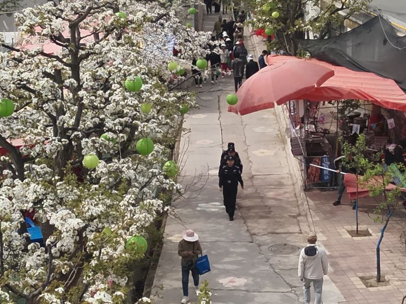 梨花节巡逻 梨花节巡逻