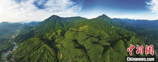 从荒山到林海 广东续写“岳山造林”绿美新篇章