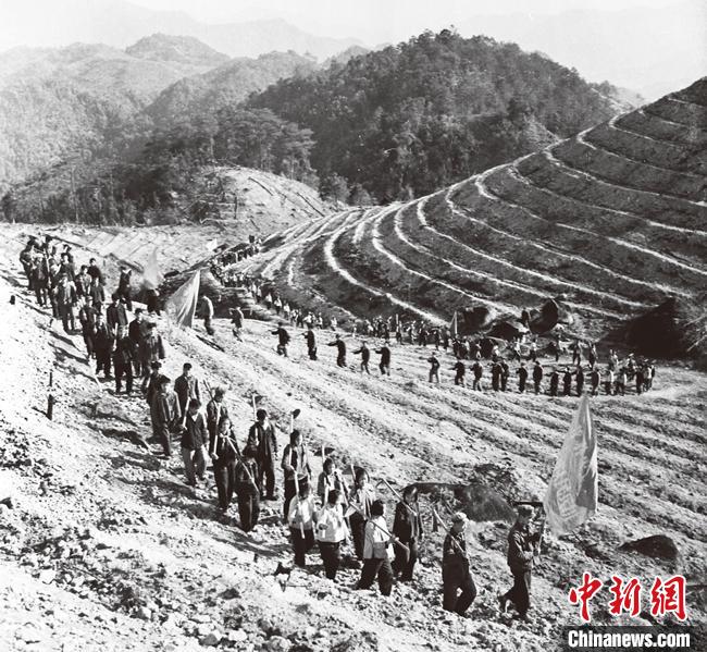 从荒山到林海 广东续写“岳山造林”绿美新篇章