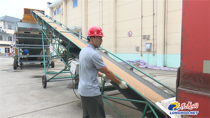 科技赋能“智慧粮库” 南京高淳让夏粮“颗粒归仓”