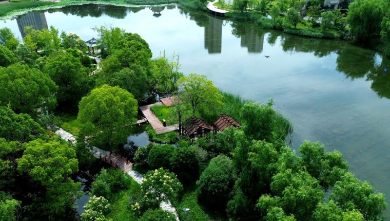 江苏如东：夏韵浅水湾_新华网江苏频道