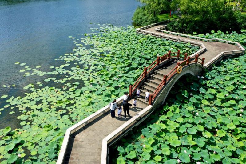 江苏如东：夏韵浅水湾_新华网江苏频道