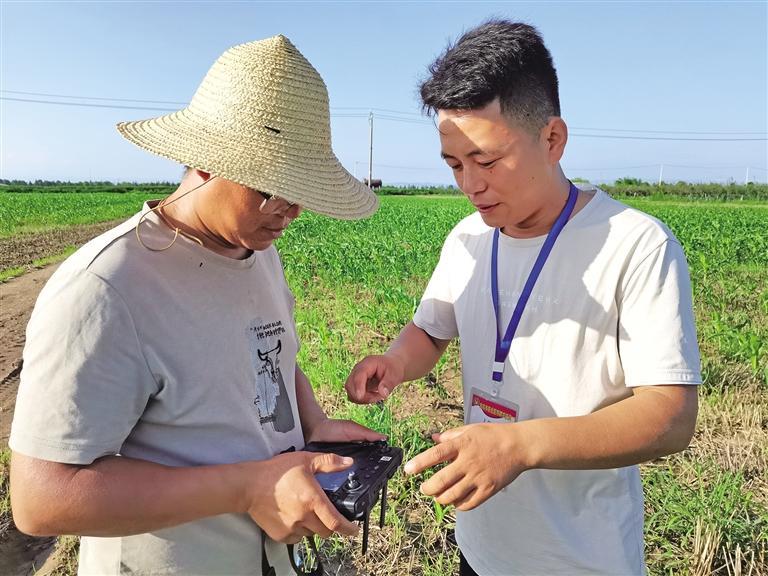 新农人的三重转变——来自宝鸡农业现代化一线的观察
