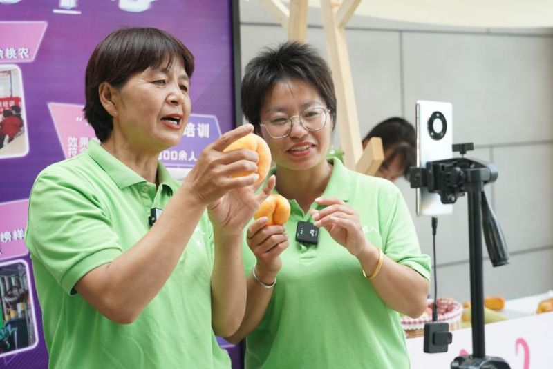 北京发布全国首个直播带货合同示范文本