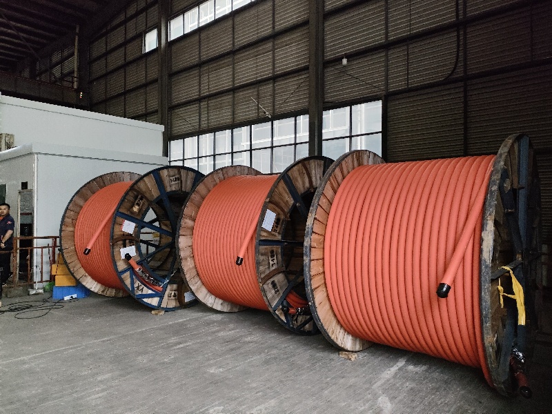 成都青羊：国内落地亿元订单 海外拓展新市场