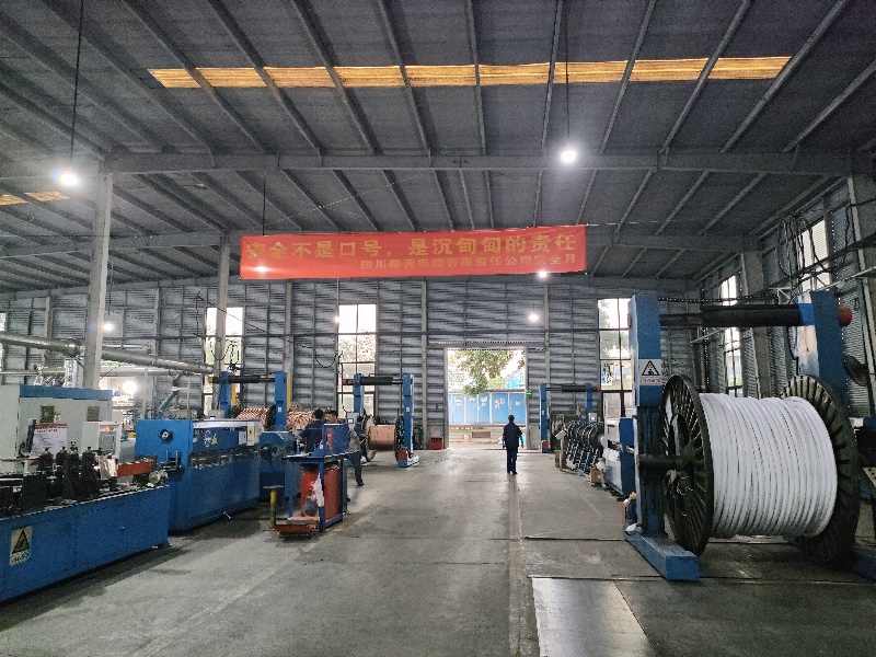 成都青羊：国内落地亿元订单 海外拓展新市场