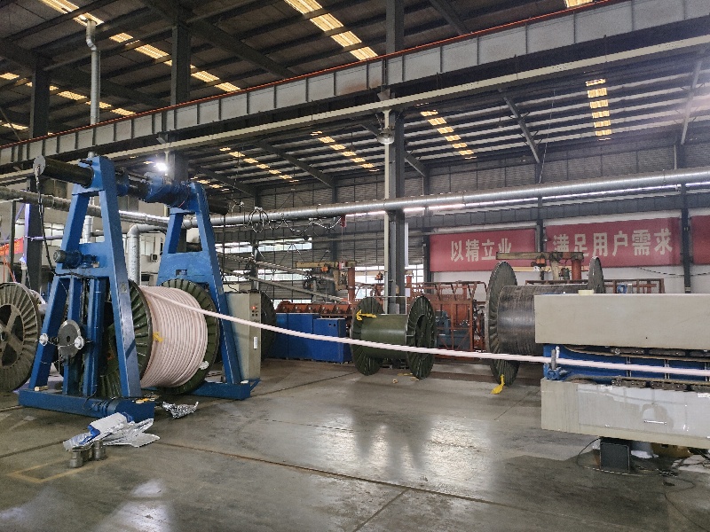 成都青羊：国内落地亿元订单 海外拓展新市场