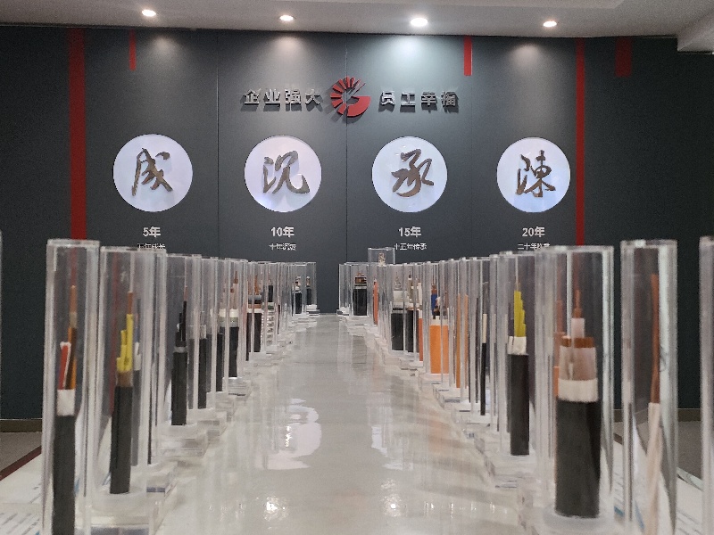 成都青羊：国内落地亿元订单 海外拓展新市场