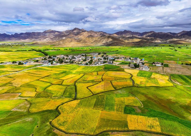 跨越四千公里的雪域答卷