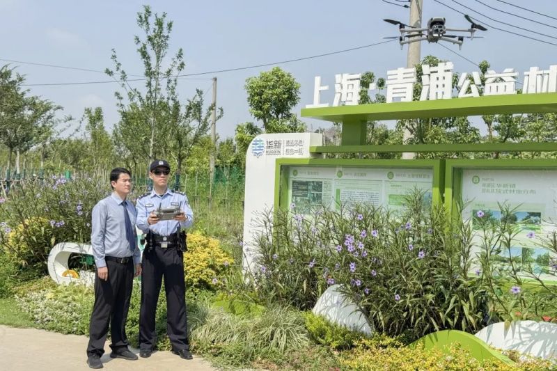 WDCM上传图片 WDCM上传图片