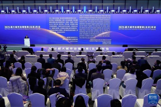 “城市正智慧 生活更美好”主题，2025超大城市治理智库交流会（北京）举行