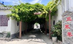 基层协商与政协协商有效服务基层治理 ——淮北市政协“三米巷协商”服务基层治理实践与发展