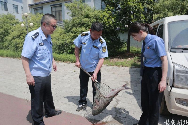 微信图片_2026-05-19_173310_244.jpg