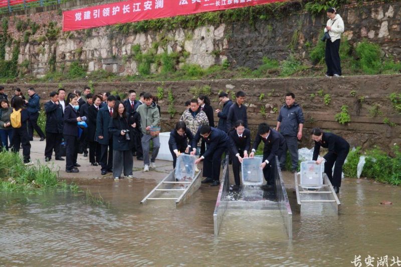 微信图片_2026-05-19_173256_301.jpg