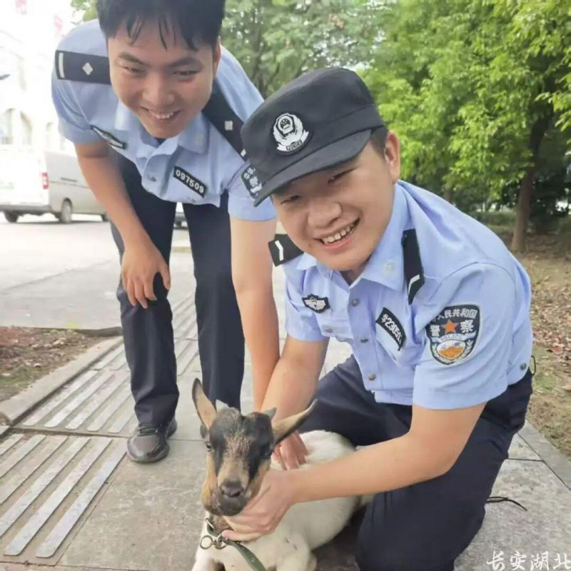图片11.png