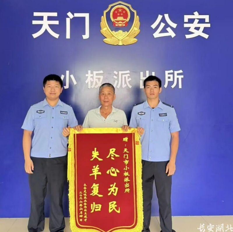 图片12.png