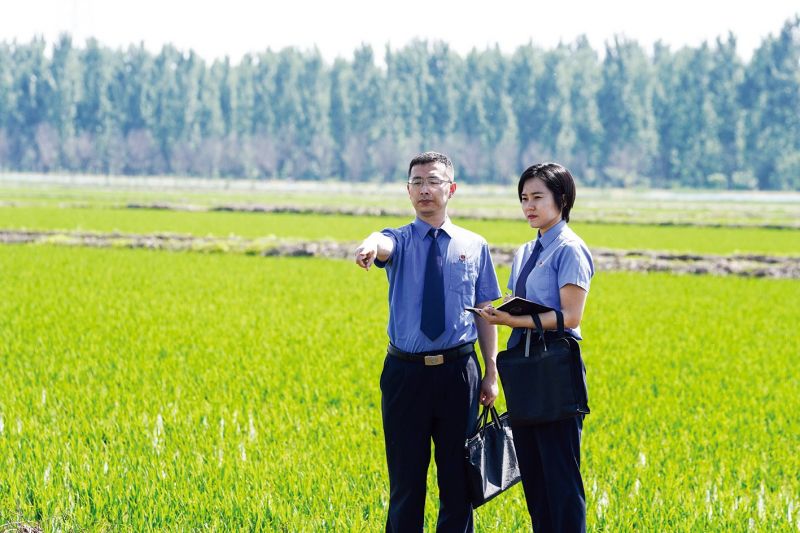 深入田间地头查看检察建议落实情况.jpg