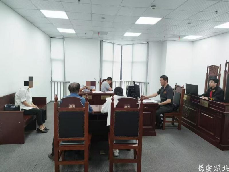 武昌区法院1-水果湖法庭法官在湖北省银保调中心巡回审判法庭开展“示范性诉讼+批量化调解”工作.jpg