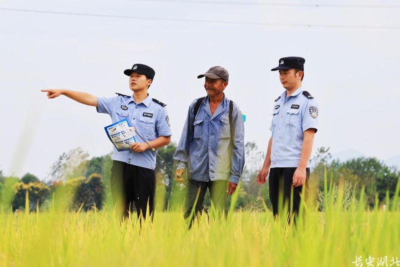 2026年9月16日,大冶市公安局陈贵派出所民警到刘家畈村与农户面对面交谈,深入摸排近期务农中可能出现的土地边界、农机调度、雇工报酬等矛盾纠纷。.png